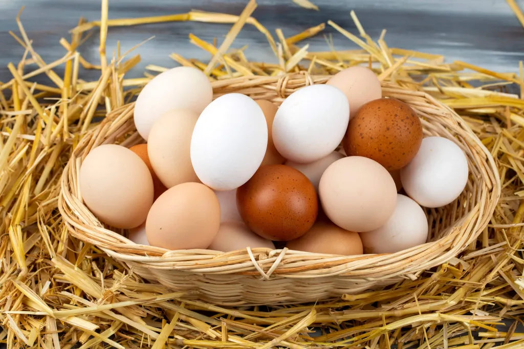 ¿Deben los huevos estar en tu dieta?